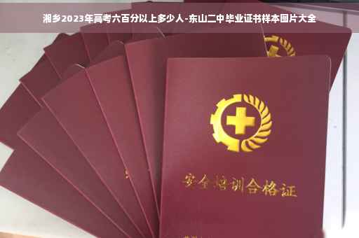 湘乡2023年高考六百分以上多少人-东山二中毕业证书样本图片大全