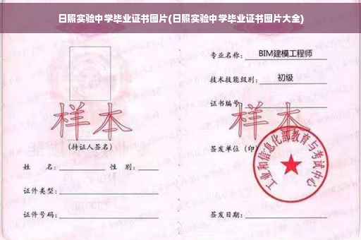 日照实验中学毕业证书图片(日照实验中学毕业证书图片大全)