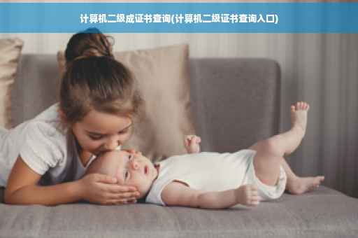 计算机二级成证书查询(计算机二级证书查询入口)