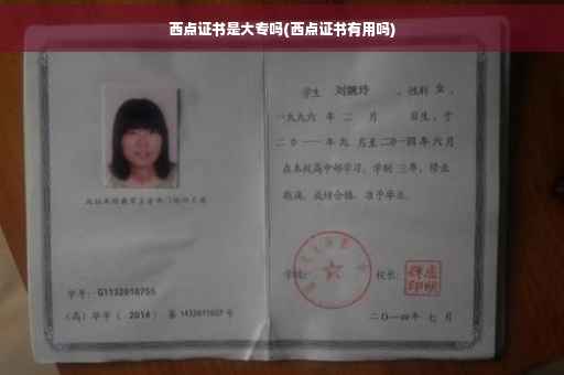 西点证书是大专吗(西点证书有用吗)