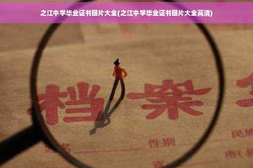 之江中学毕业证书图片大全(之江中学毕业证书图片大全高清)