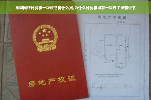 全国网络计算机一级证书有什么用,为什么计算机国家一级过了没有证书