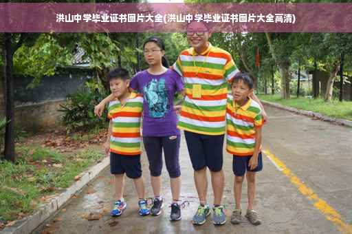 洪山中学毕业证书图片大全(洪山中学毕业证书图片大全高清)