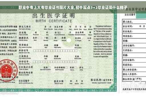 职业中专上大专毕业证书图片大全,初中起点3+2毕业证是什么样子