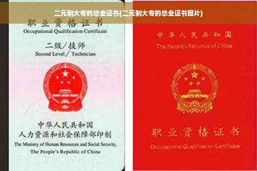 二元制大专的毕业证书(二元制大专的毕业证书图片)