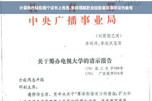 计算机代码在哪个证书上有用,怎样理解职业技能鉴定等级证书编号