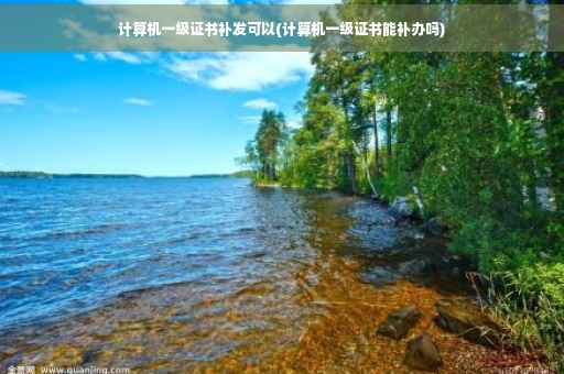 计算机一级证书补发可以(计算机一级证书能补办吗)