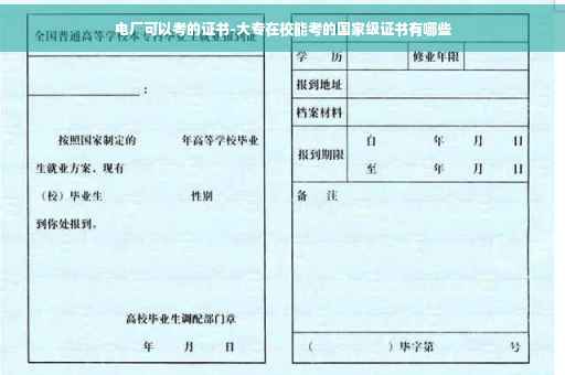 电厂可以考的证书-大专在校能考的国家级证书有哪些