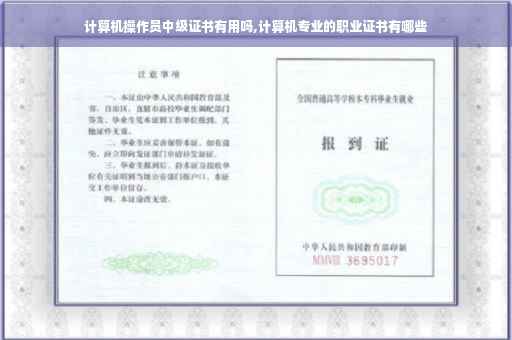 计算机操作员中级证书有用吗,计算机专业的职业证书有哪些