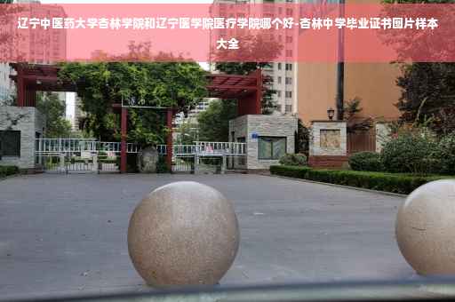 辽宁中医药大学杏林学院和辽宁医学院医疗学院哪个好-杏林中学毕业证书图片样本大全