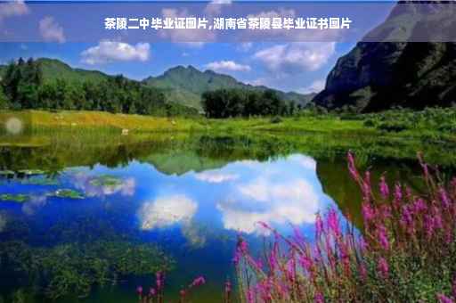茶陵二中毕业证图片,湖南省茶陵县毕业证书图片