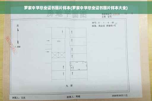 罗家中学毕业证书图片样本(罗家中学毕业证书图片样本大全)