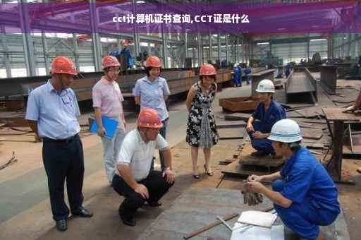 cct计算机证书查询,CCT证是什么