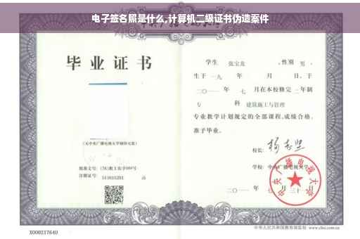 电子签名照是什么,计算机二级证书伪造案件
