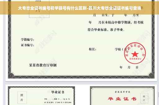 大专毕业证书编号和学籍号有什么区别-四川大专毕业证证书编号查询