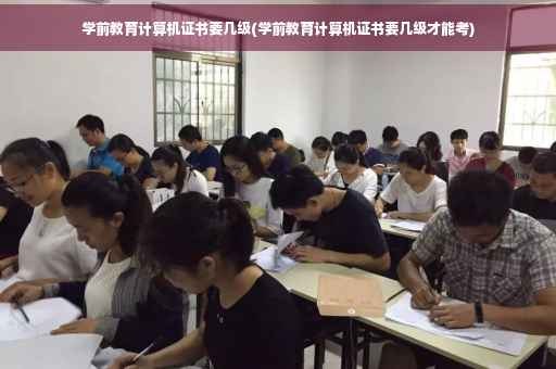 学前教育计算机证书要几级(学前教育计算机证书要几级才能考)