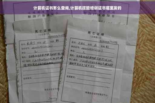 计算机证书怎么查询,计算机技能培训证书哪里发的
