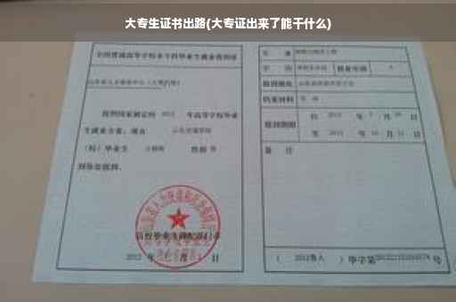 大专生证书出路(大专证出来了能干什么) 大专生证书出路(大专证出来了能干什么)