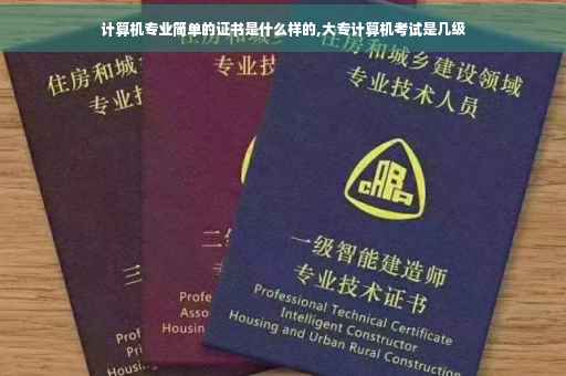 计算机专业简单的证书是什么样的,大专计算机考试是几级