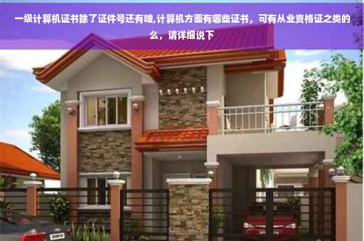 一级计算机证书除了证件号还有啥,计算机方面有哪些证书，可有从业资格证之类的么，请详细说下