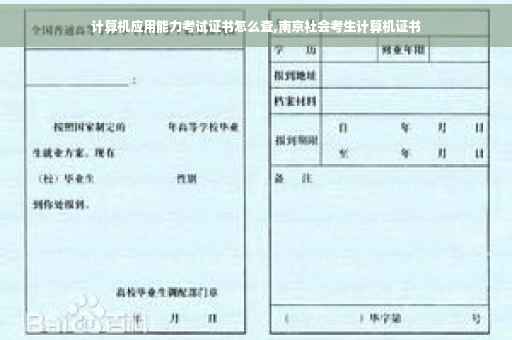 计算机应用能力考试证书怎么查,南京社会考生计算机证书