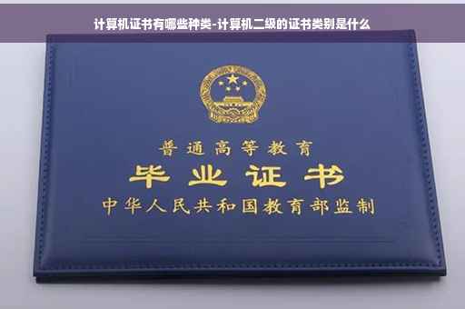计算机证书有哪些种类-计算机二级的证书类别是什么