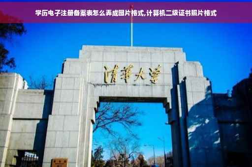 学历电子注册备案表怎么弄成图片格式,计算机二级证书照片格式