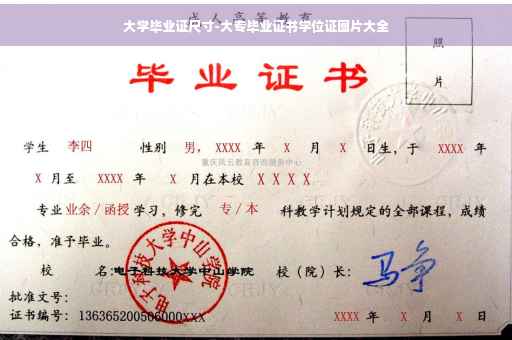 大学毕业证尺寸-大专毕业证书学位证图片大全