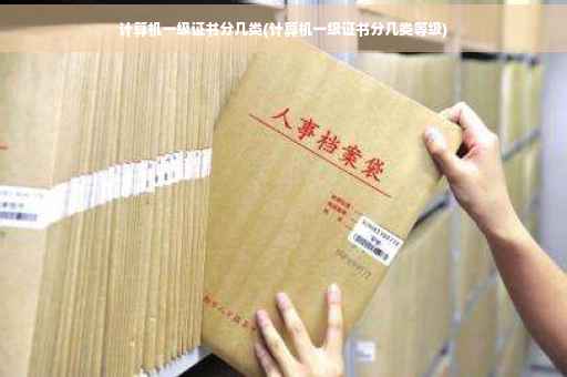 计算机一级证书分几类(计算机一级证书分几类等级)