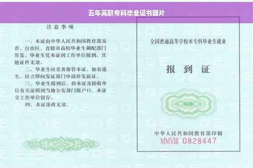五年高职专科毕业证书图片