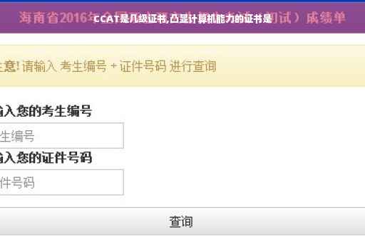 CCAT是几级证书,凸显计算机能力的证书是