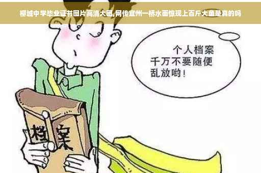 柳城中学毕业证书图片高清大图,网传宜州一桥水面惊现上百斤大鱼是真的吗