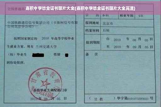 嘉积中学毕业证书图片大全(嘉积中学毕业证书图片大全高清)