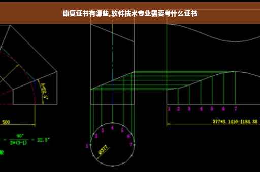 康复证书有哪些,软件技术专业需要考什么证书
