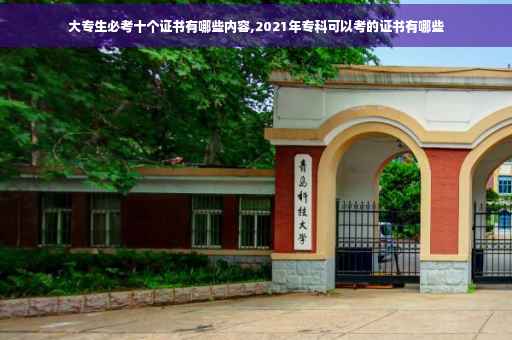 大专生必考十个证书有哪些内容,2021年专科可以考的证书有哪些