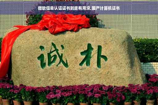 微软信息认证证书到底有用没,国产计算机证书 微软信息认证证书到底有用没,国产计算机证书