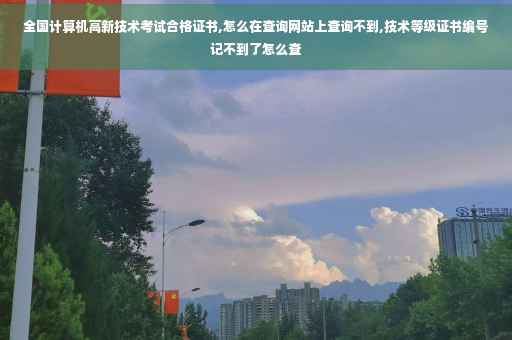 全国计算机高新技术考试合格证书,怎么在查询网站上查询不到,技术等级证书编号记不到了怎么查