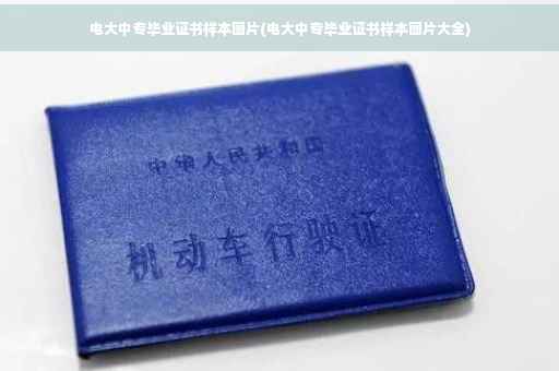 电大中专毕业证书样本图片(电大中专毕业证书样本图片大全)