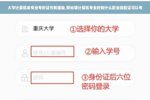 大学计算机类专业考的证书有哪些,想知道计算机专业的有什么职业技能证可以考