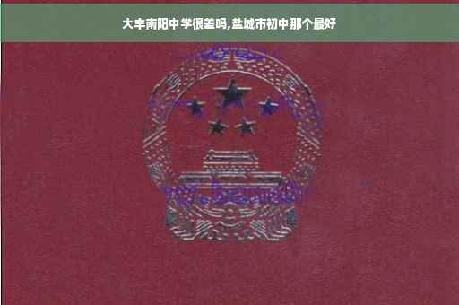 大丰南阳中学很差吗,盐城市初中那个最好