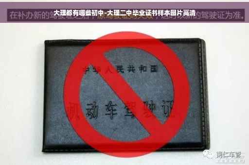 大理都有哪些初中-大理二中毕业证书样本图片高清