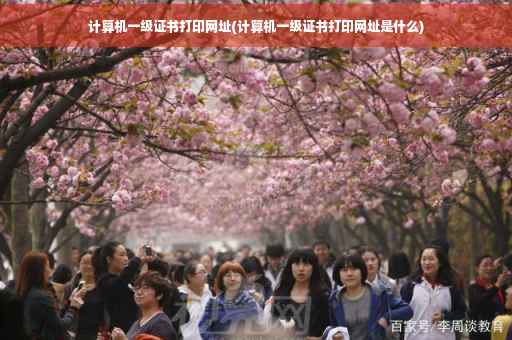计算机一级证书打印网址(计算机一级证书打印网址是什么) 计算机一级证书打印网址(计算机一级证书打印网址是什么)