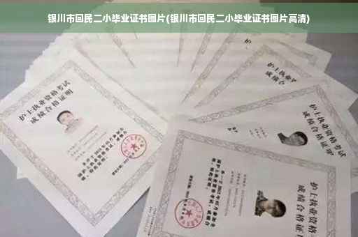 银川市回民二小毕业证书图片(银川市回民二小毕业证书图片高清)