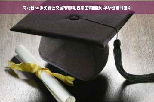河北省60岁免费公交城市有吗,石家庄青园街小学毕业证书图片