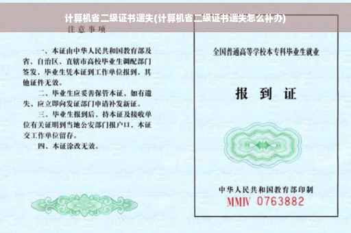 计算机省二级证书遗失(计算机省二级证书遗失怎么补办)