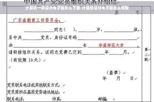 计算机一级证书电子版怎么下载-计算机证书电子版怎么领取