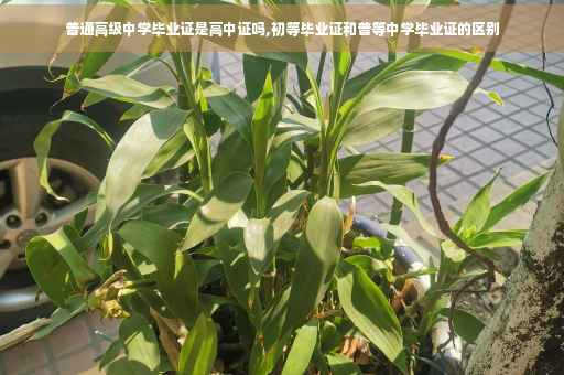 普通高级中学毕业证是高中证吗,初等毕业证和普等中学毕业证的区别