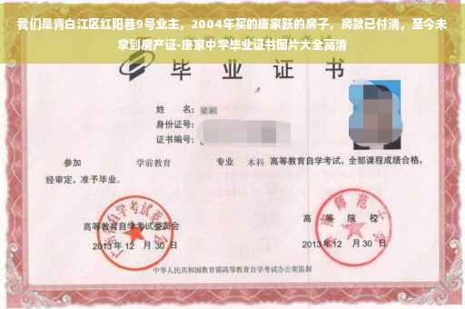 我们是青白江区红阳巷9号业主，2004年买的唐家跃的房子，房款已付清，至今未拿到房产证-唐家中学毕业证书图片大全高清