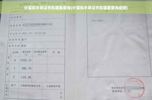 计算机中级证书在哪里查询(计算机中级证书在哪里查询成绩)