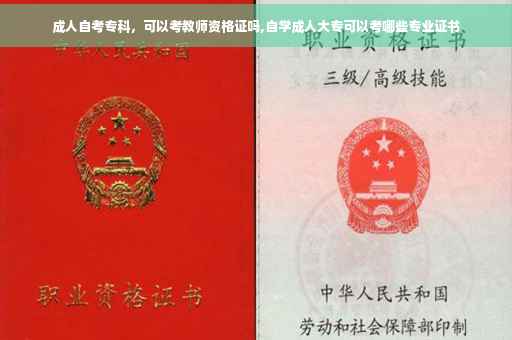 成人自考专科，可以考教师资格证吗,自学成人大专可以考哪些专业证书